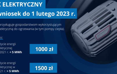 Zdjęcie do Dodatek elektryczny
