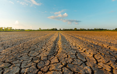 Zdjęcie do Uwaga Rolnicy, wprowadzono zmiany w sposobie szacowania strat spowodowanych suszą w 2023 r.