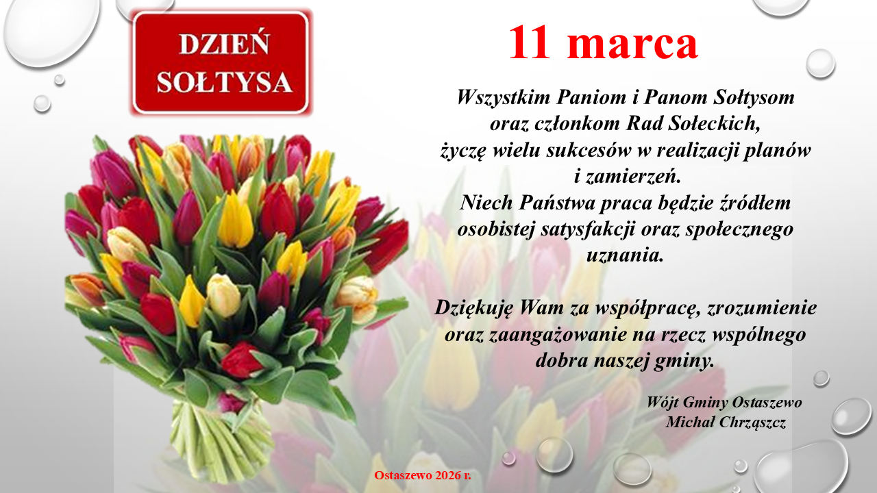 Wszystkim Paniom i&nbsp;Panom Sołtysom oraz członkom Rad Sołeckich, życzę wielu sukces&oacute;w w&nbsp;realizacji plan&oacute;w i&nbsp;zamierzeń.Niech Państwa praca będzie źr&oacute;dłem osobistej satysfakcji i&nbsp;społecznego uznania.  Dziękuję Wam za wsp&oacute;łpracę, zrozumienie oraz&nbsp;zaangażowanie na&nbsp;rzecz wsp&oacute;lnego dobra naszej gminy.  			W&oacute;jt Gminy			Michał Chrząszcz