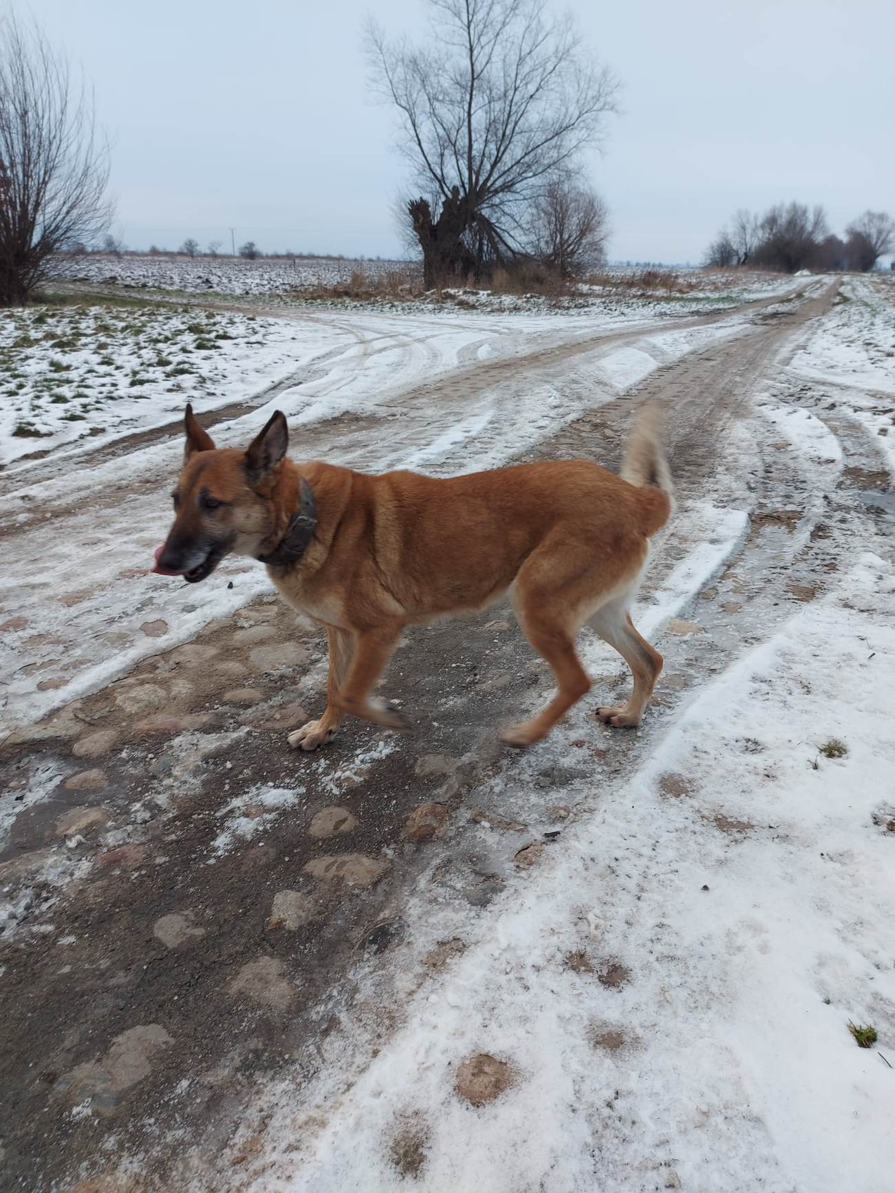 326908352_507876668129251_351841661375995935_n