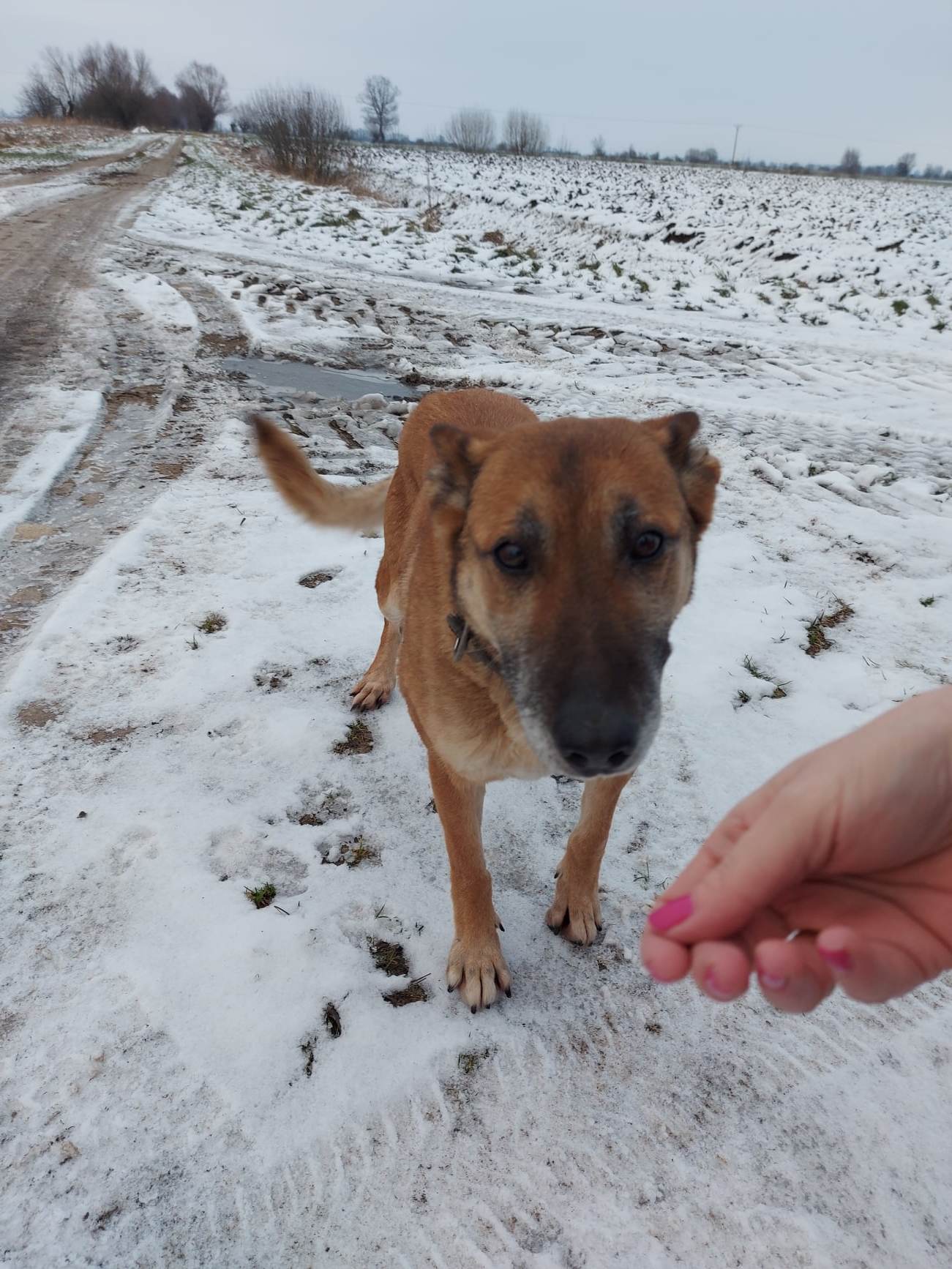 327372693_742613694140483_4807022830227965396_n