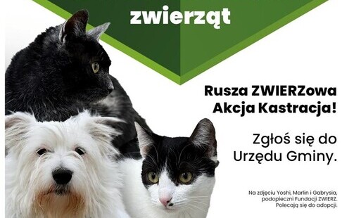 Bezpłatna kastracja i trwałe znakowanie zwierząt