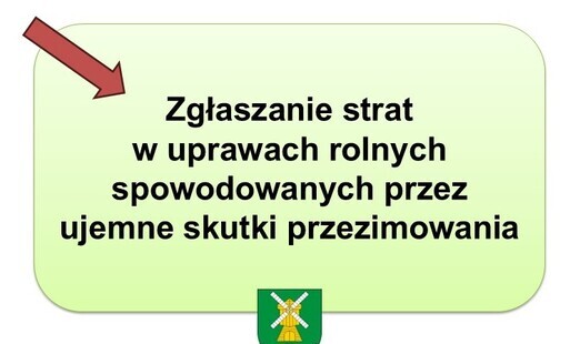 Zdjęcie artykułu z dnia 13-03-2026