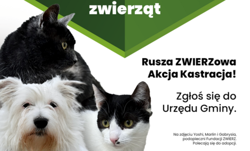 plakat akcja kastracja